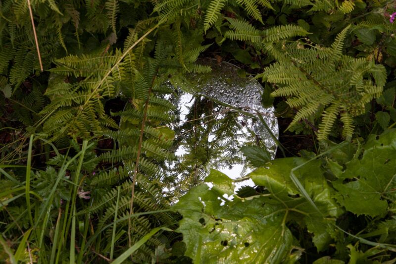 La source de la Meurthe au Valtin, Vosges - 2020