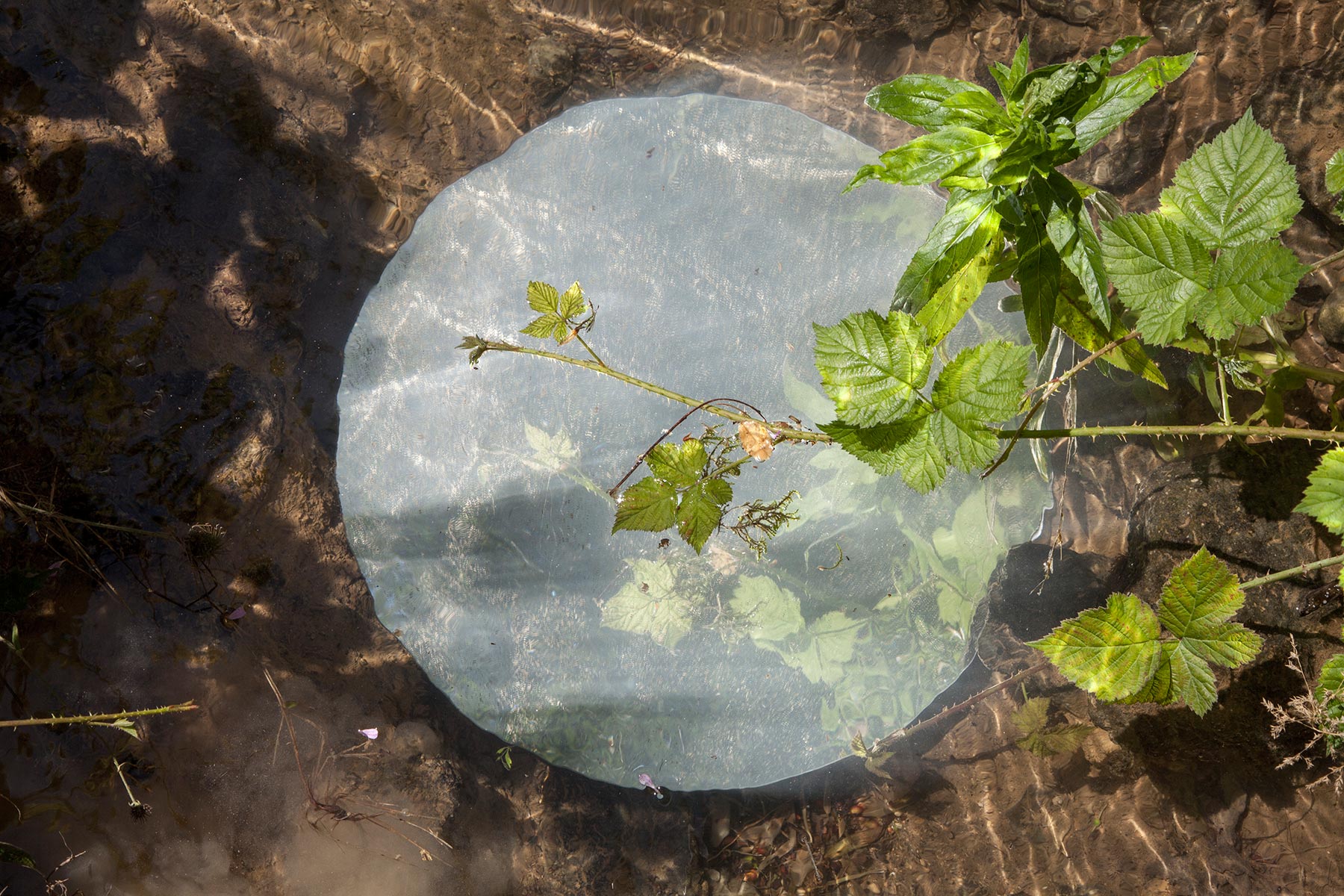 Source de l'Amance à Amance, Aube - 2020