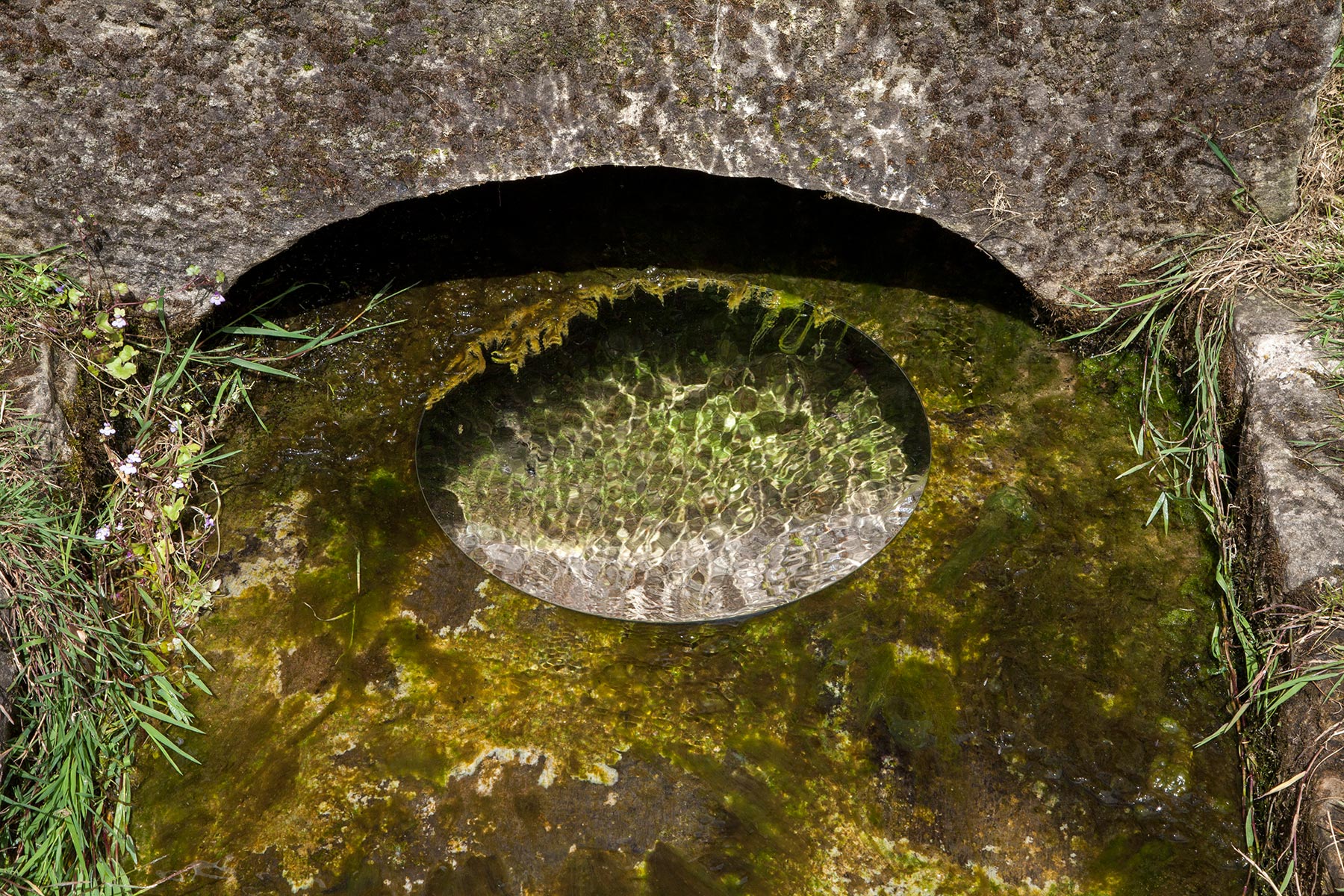 Source de la Saône à Vioménil, Vosges - 2020