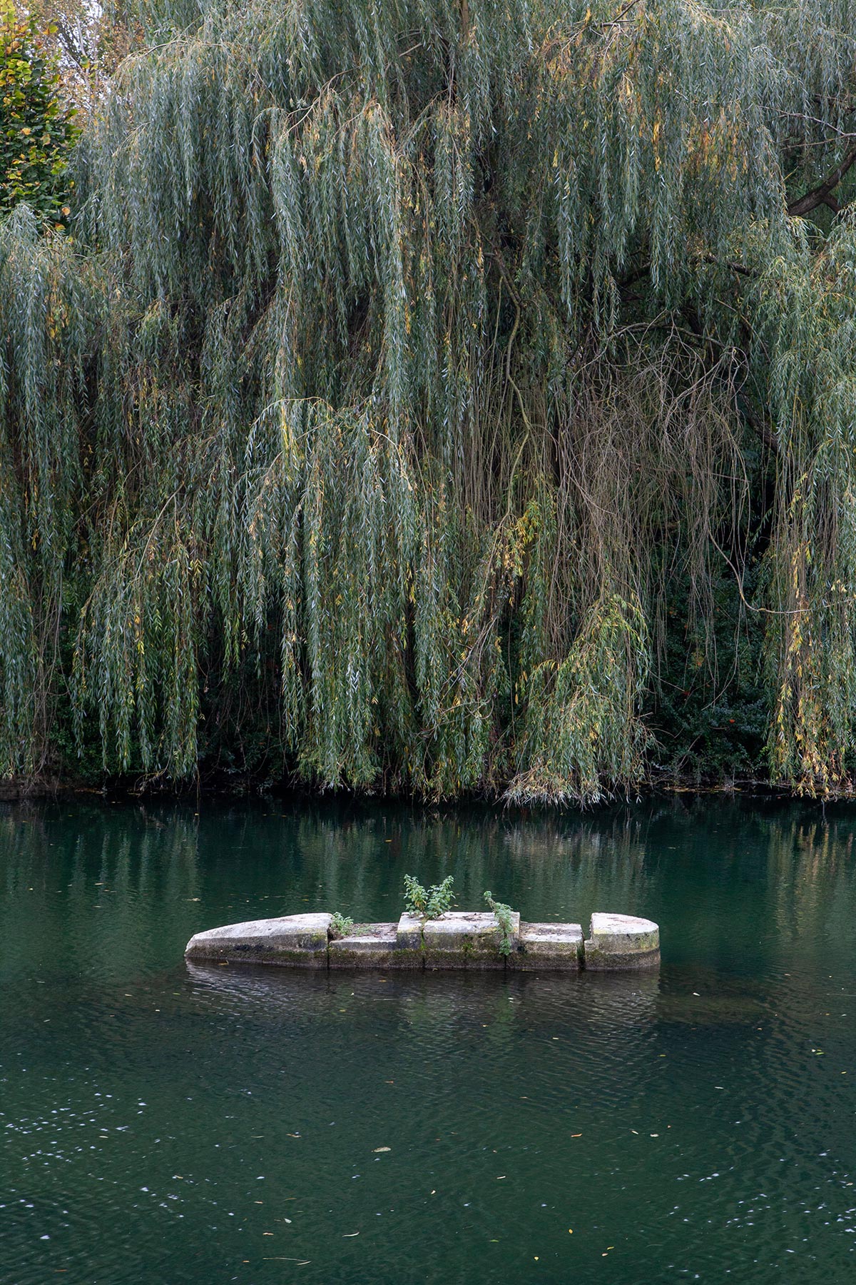 Bar-sur-Aube, Aube - 2019