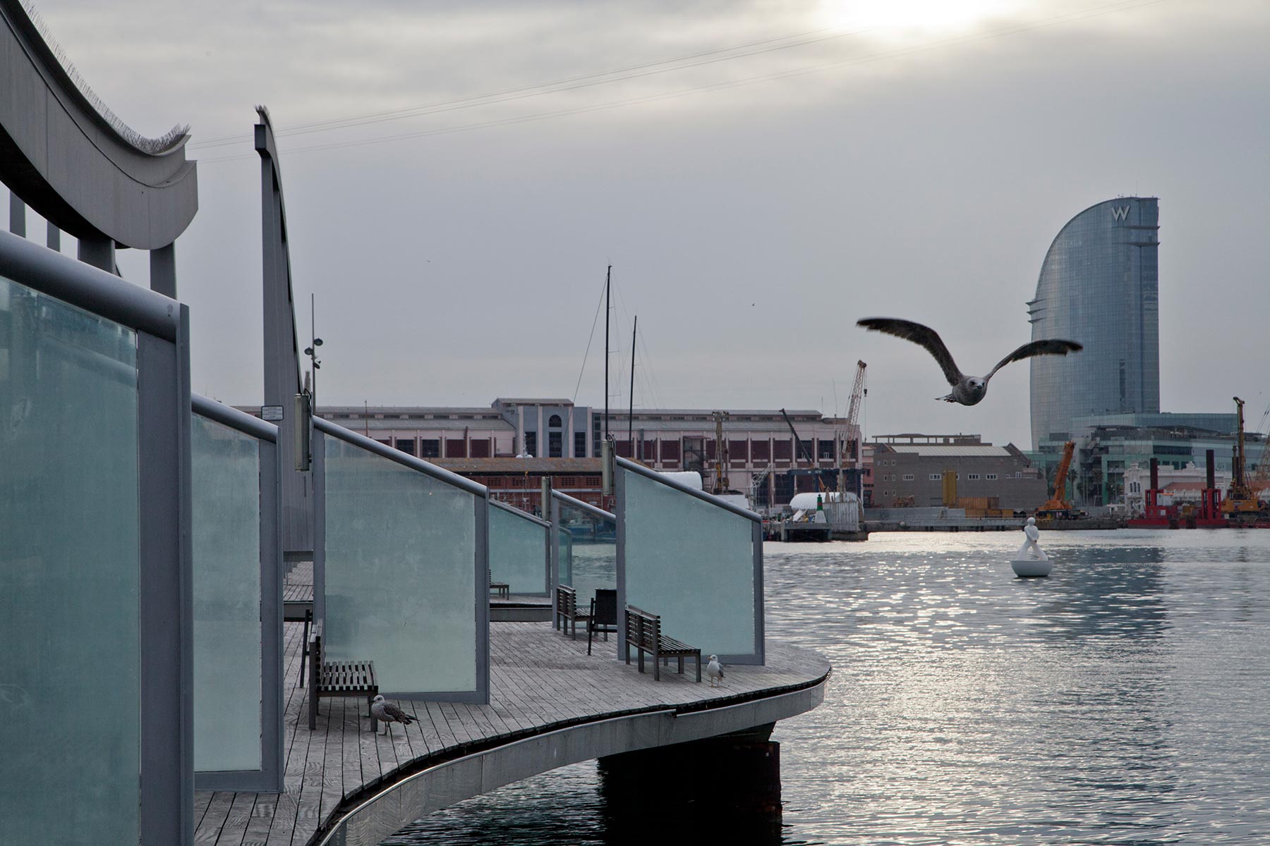 Vers Maremagnum - 2017