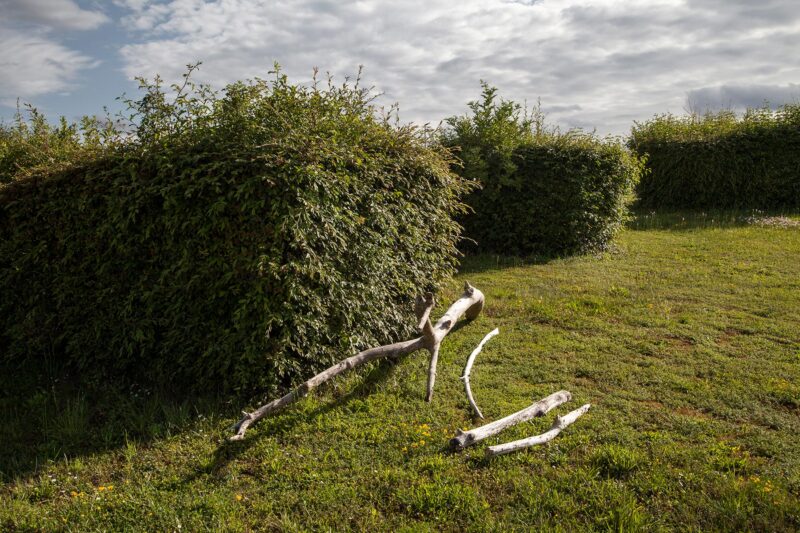 Bord de l'Aube à Jessains - 2020