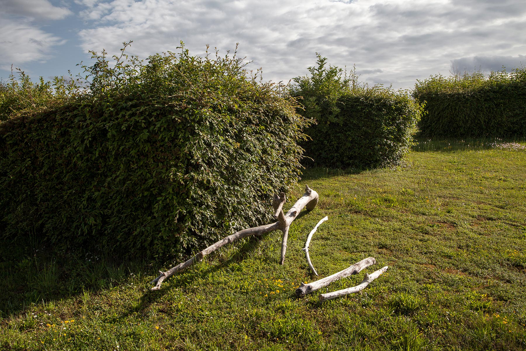 Bord de l'Aube à Jessains - 2020