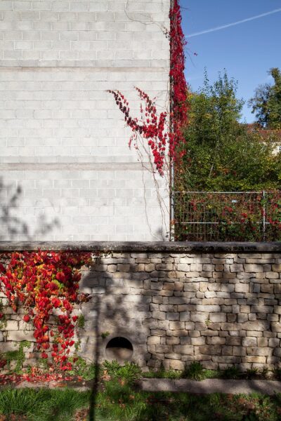 Bourbonne-les-Bains, Haute Marne, 2019