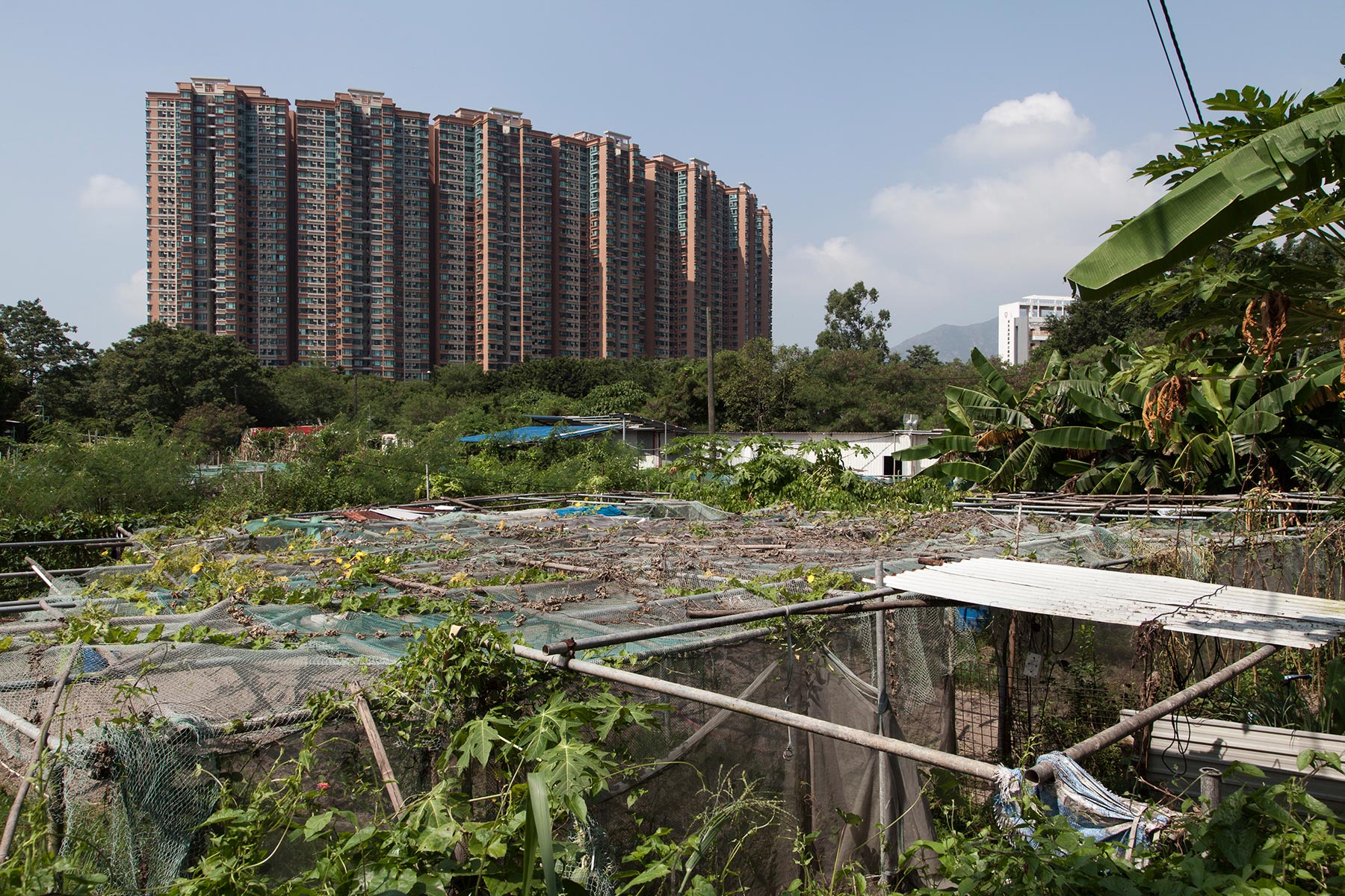Tuen Mun, vers New Territories Ring Road