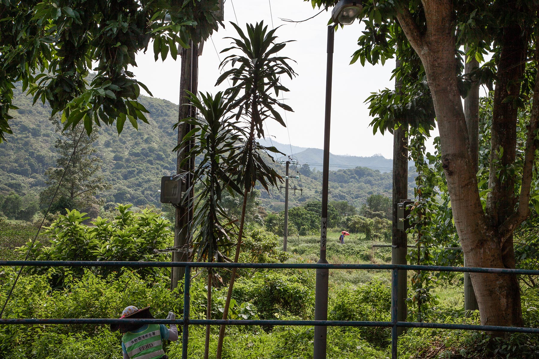 Sentier de randonnée vers Nam Chung