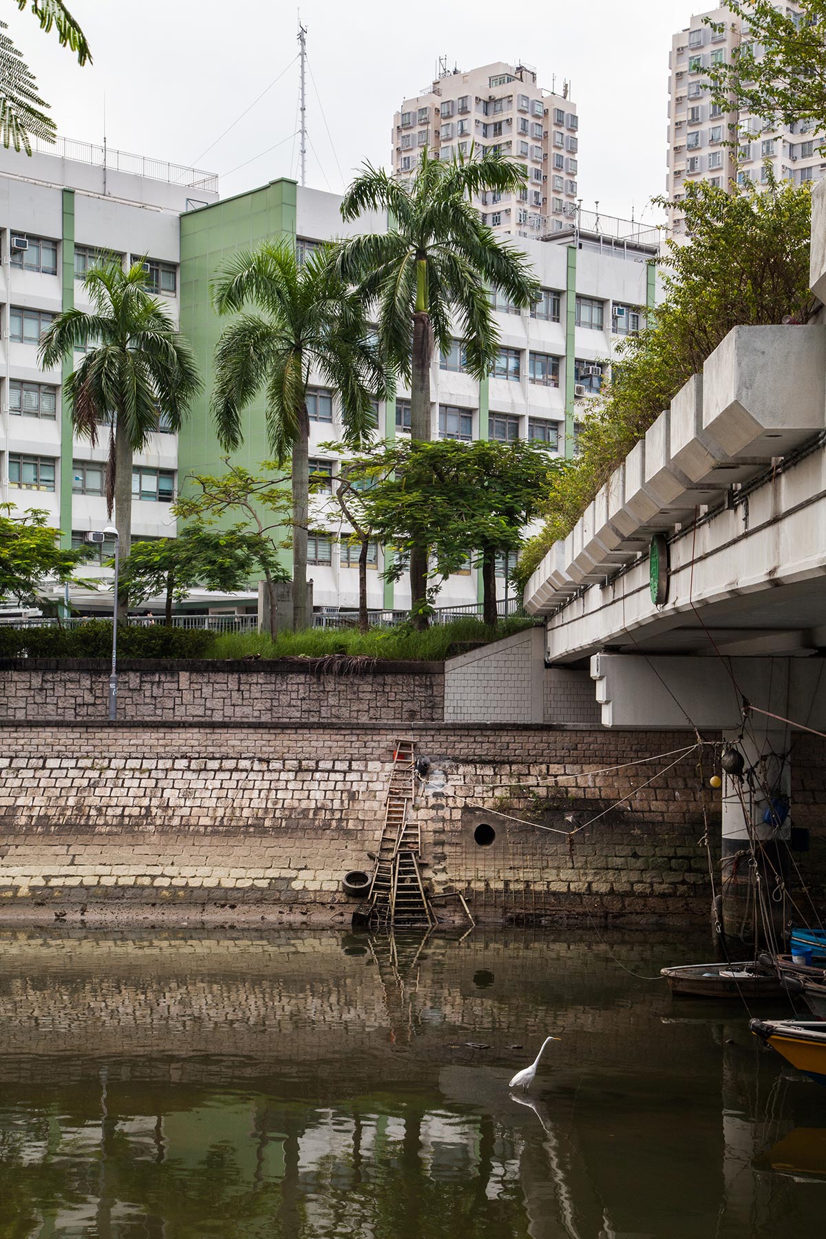 Tai Po, pont et Héron