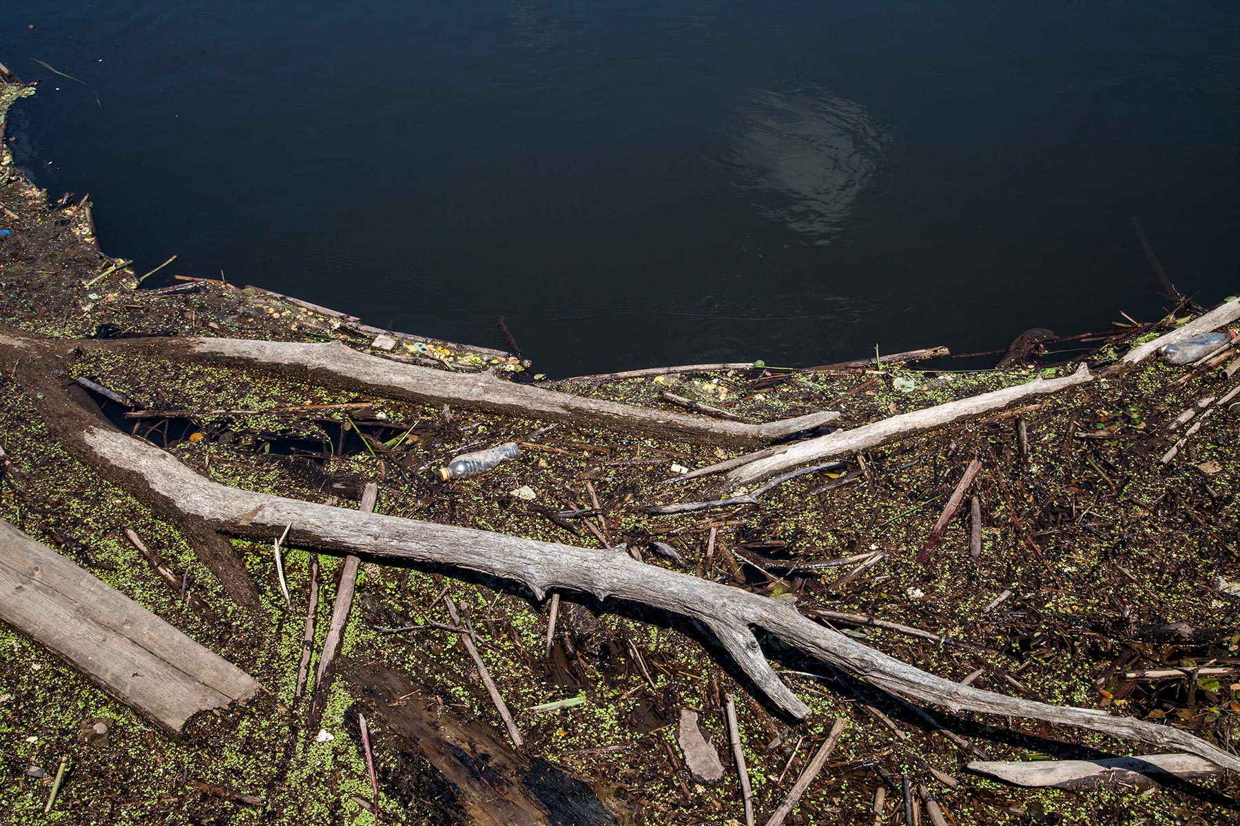 La Meurthe, station hydro à Baccarat, Meurthe-et-Moselle - 2020