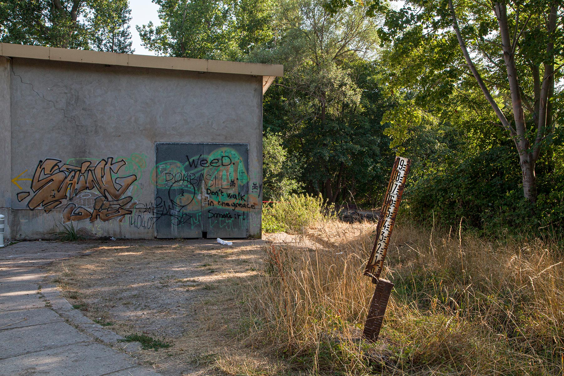 La Meurthe à Dombasle-sur-Meurthe - 2019