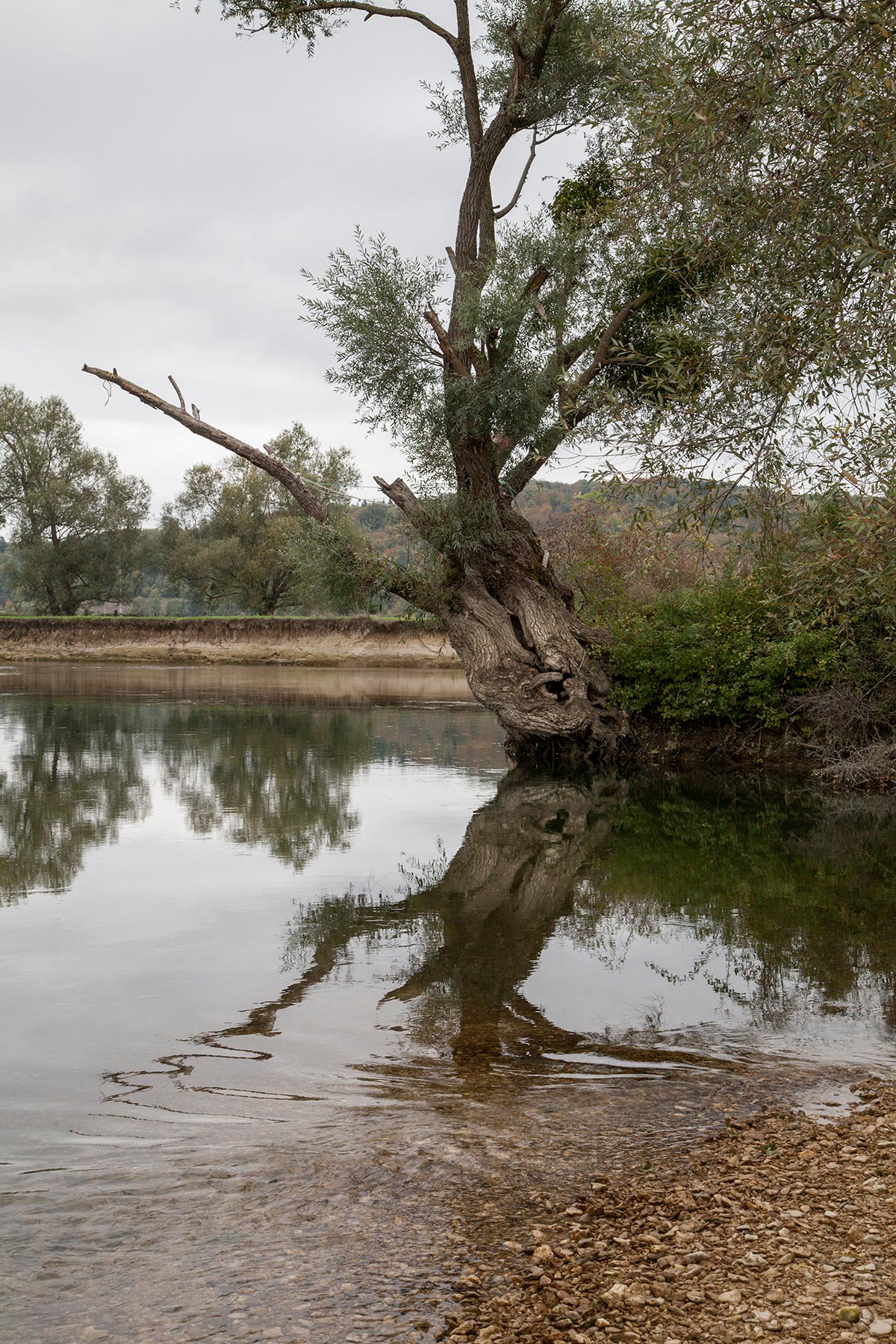La Meuse à Maizey, Meuse - 2020