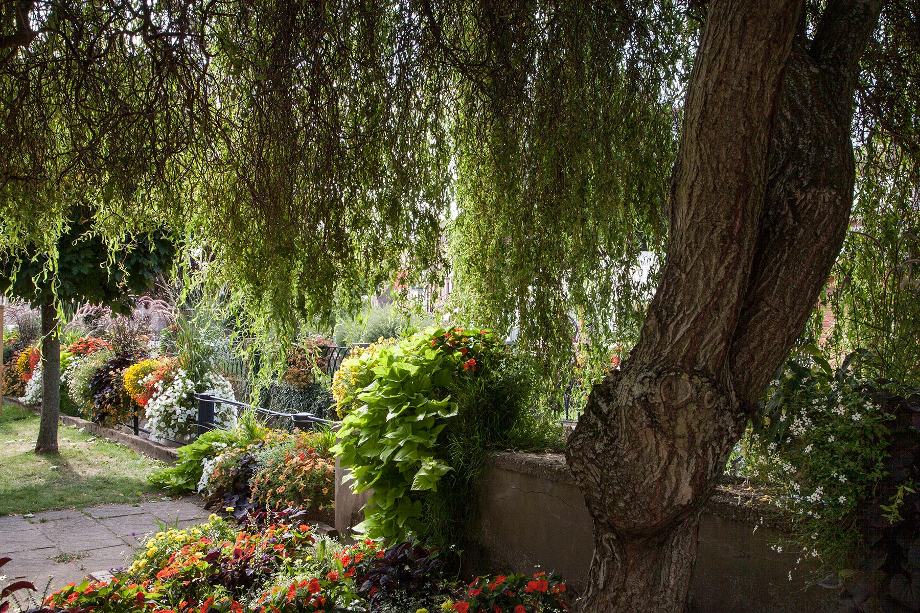 Niederbronn-les-Bains, Bas-Rhin - 2019