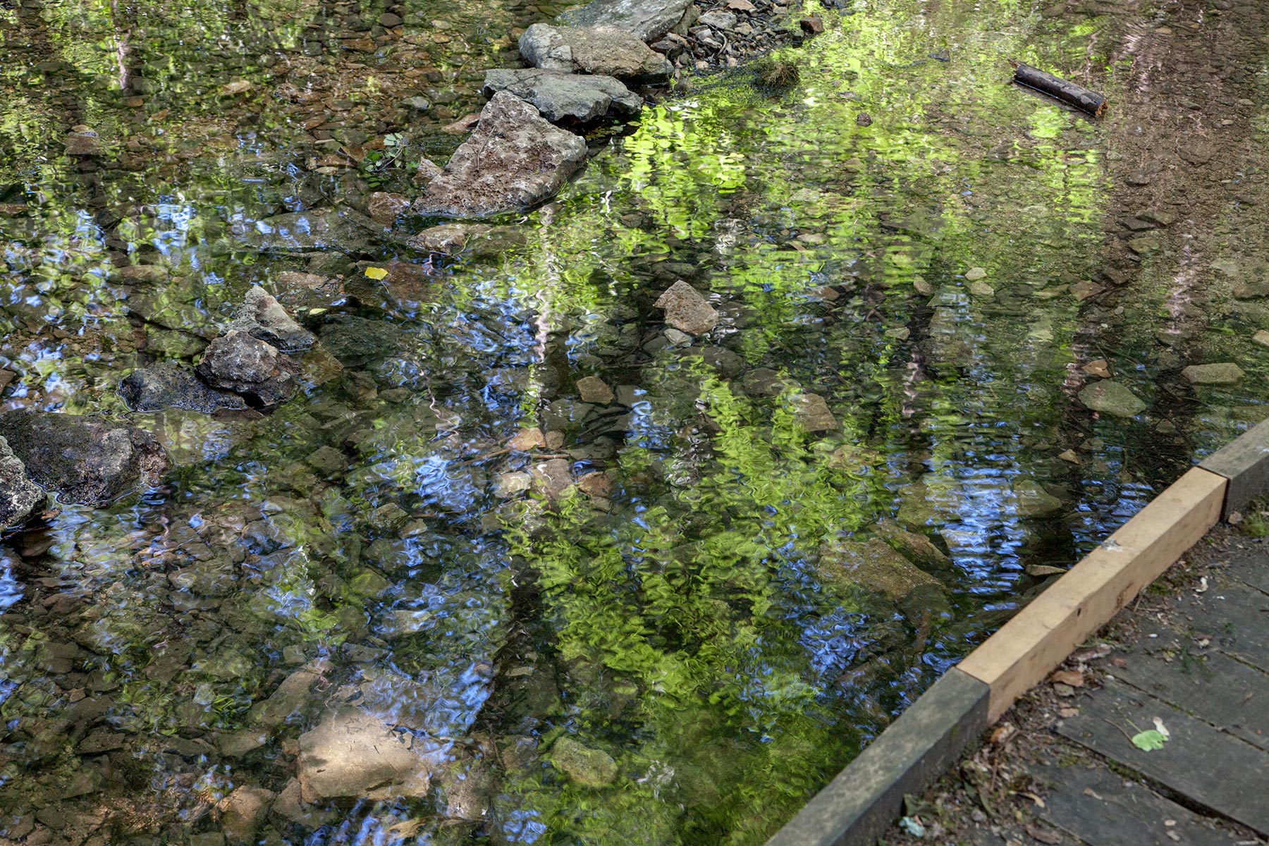 Source de l'Aube, Praslay, Haute Marne - 2019