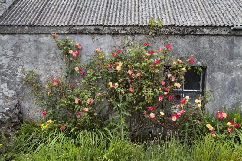 Inish Meáin