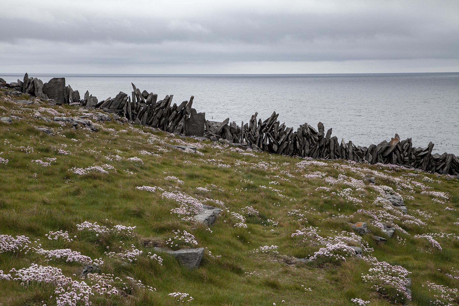 Inishmore - Autour Dún Dúchathair (Black Fort)