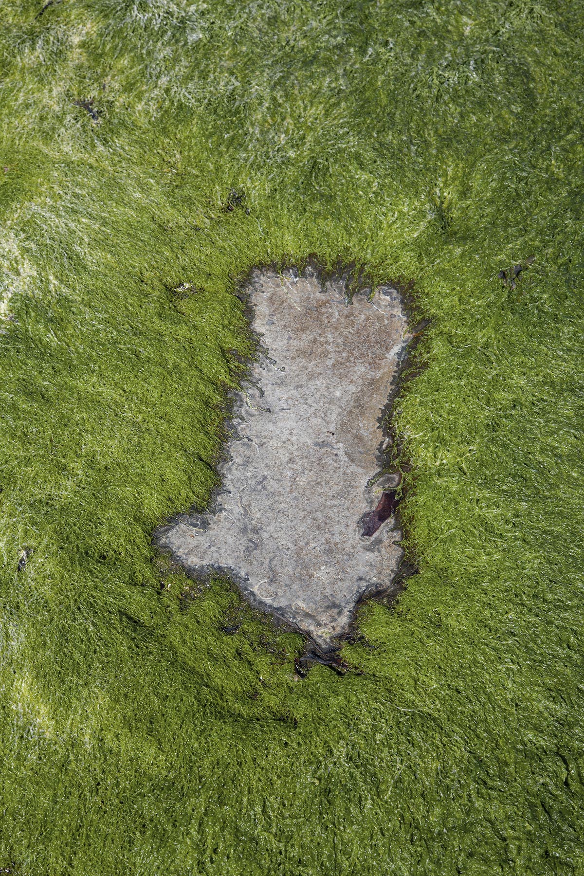 Inishmore - plage de Mainistir