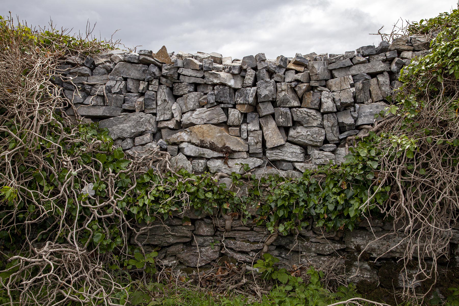 Inishmore - plateau de Mainistir