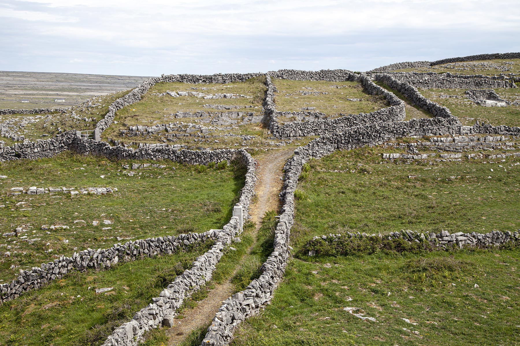 Inishmore - sentier bloqué vers Dún Aonghasa