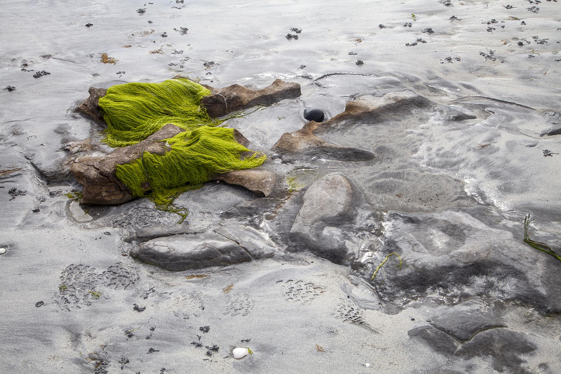 45 Inishmore - plage de Cill Einne