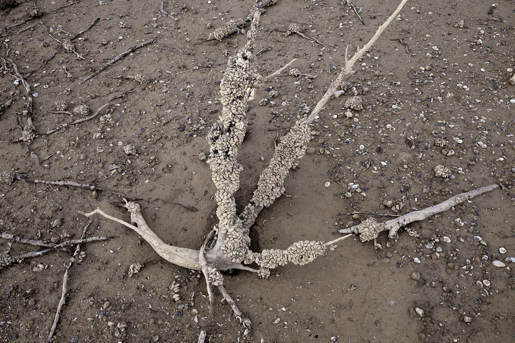 Barrage de la Ganguise, Aude - 2022