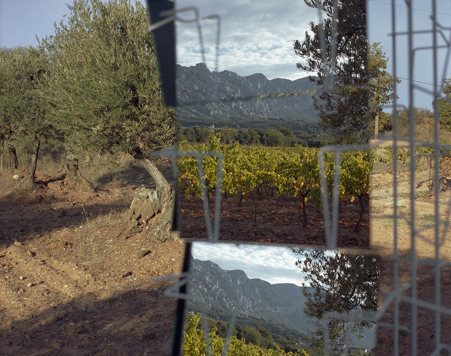 Dos à la Sainte-Victoire