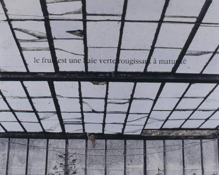Espace de culture - 1999-2001