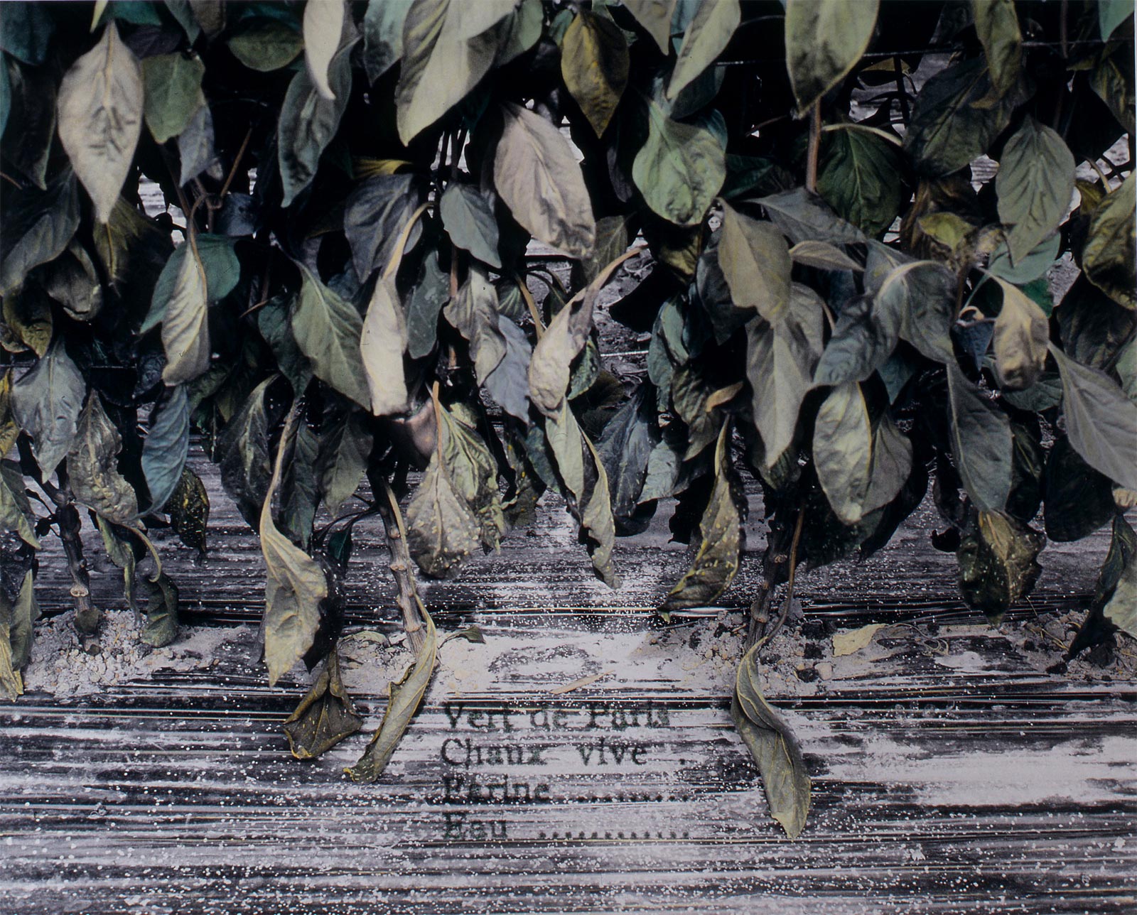 Espace de culture - 1999-2001