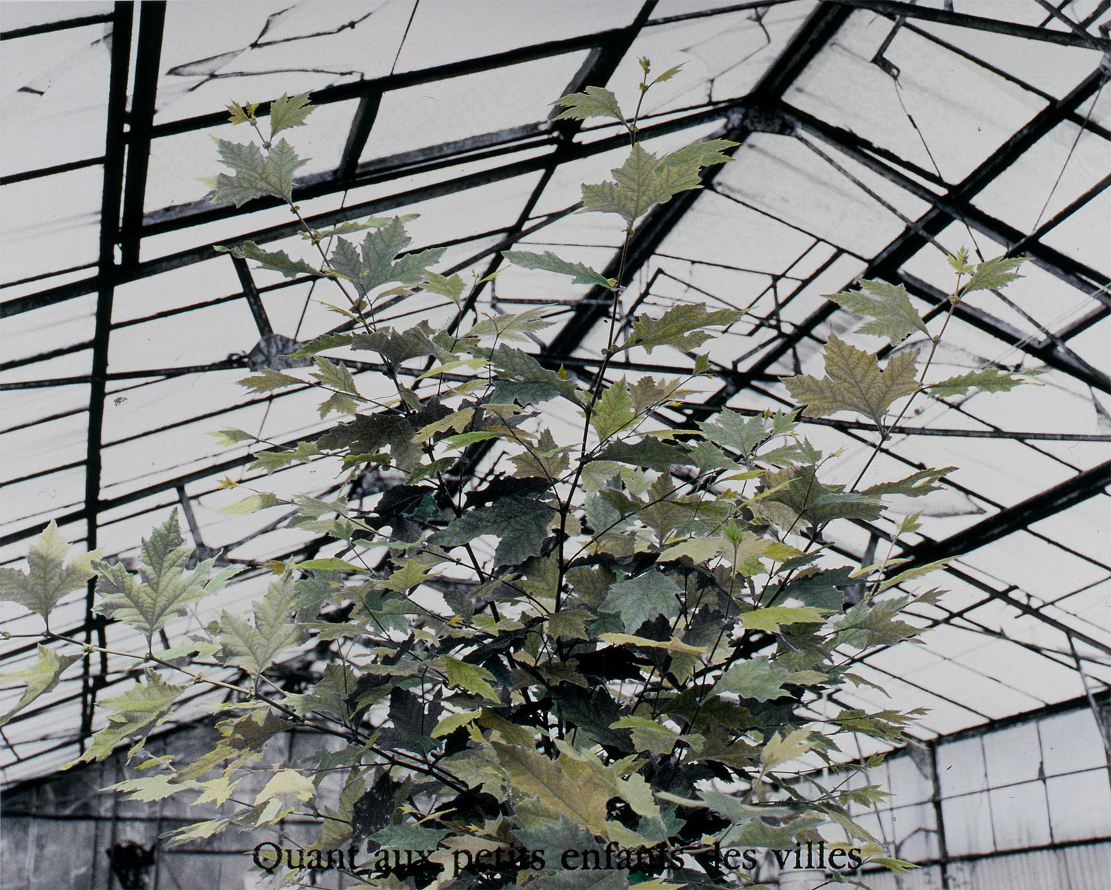 Espace de culture - 1999-2001