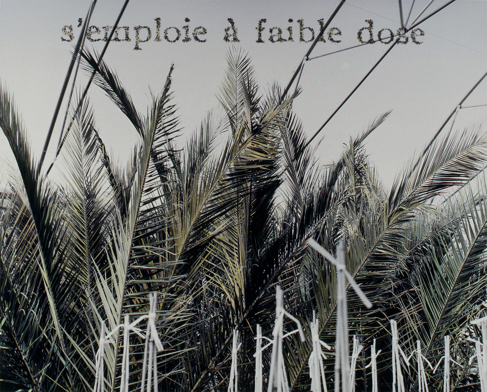 Espace de culture - 1999-2001