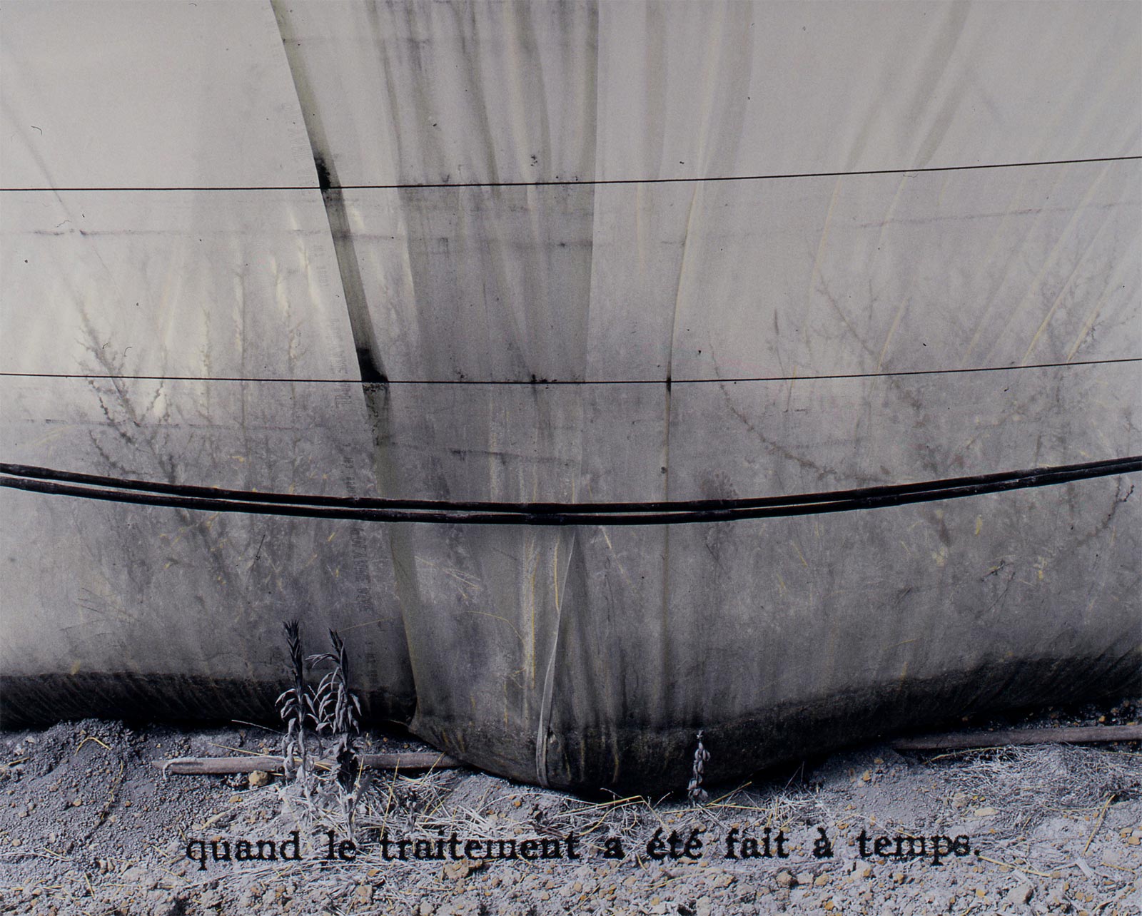 Espace de culture - 1999-2001