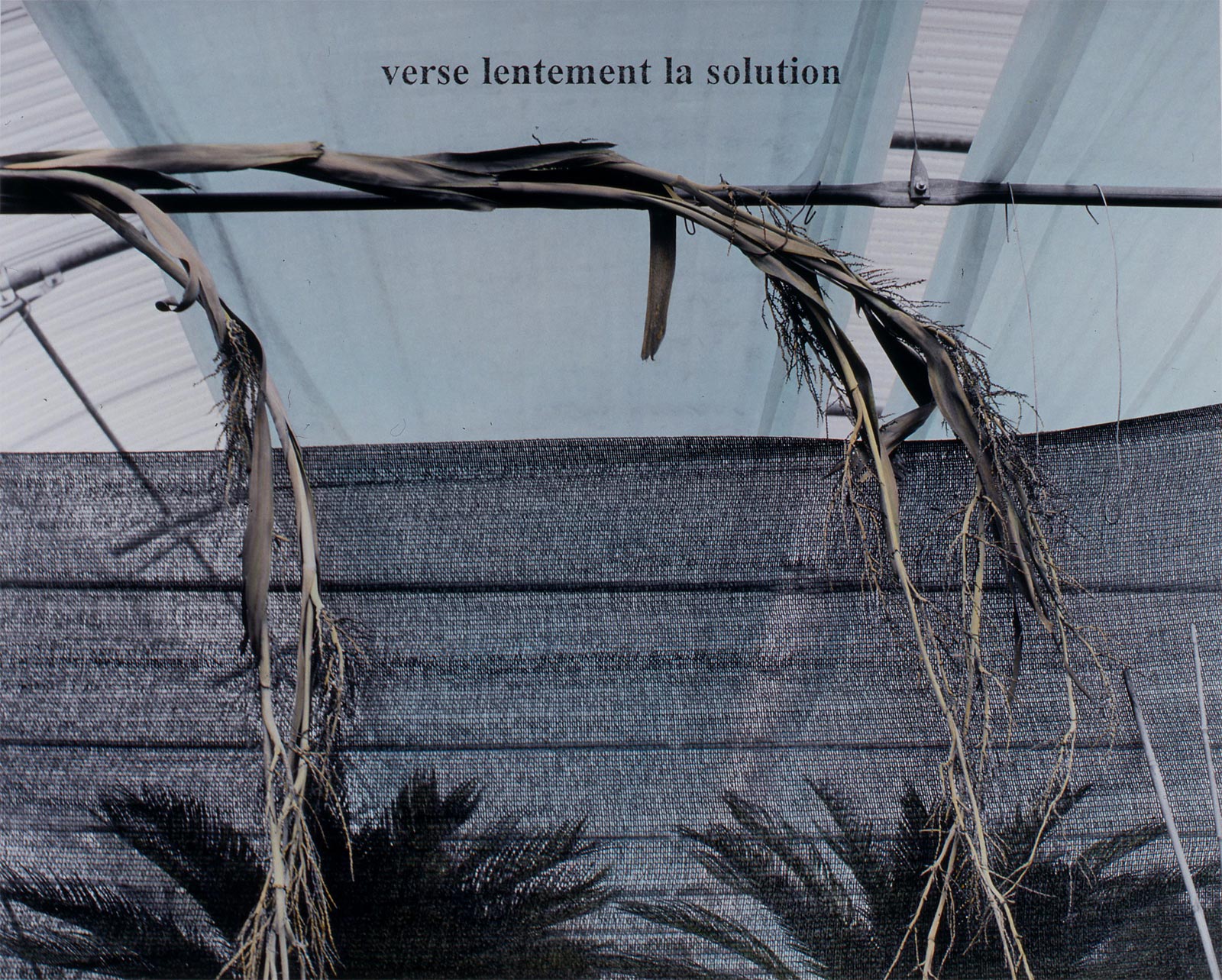 Espace de culture - 1999-2001