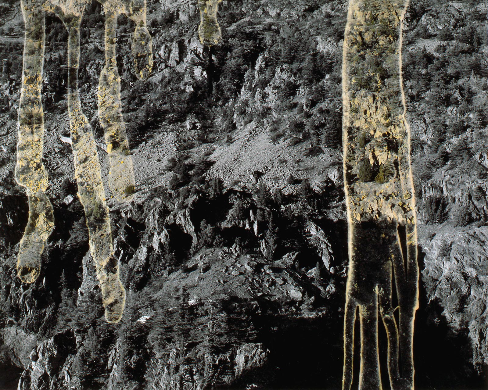 Fractures - 1993-1994