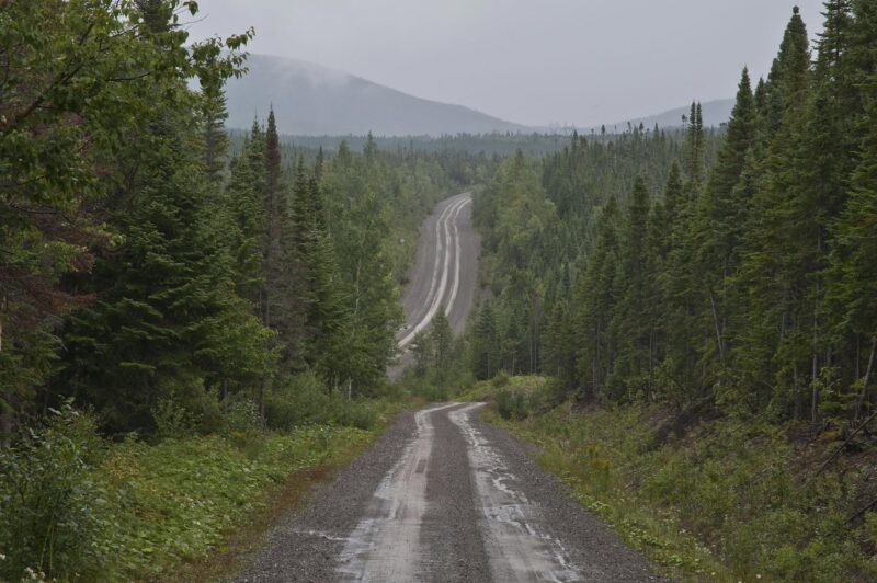 Murdochville, piste forestière - 2012
