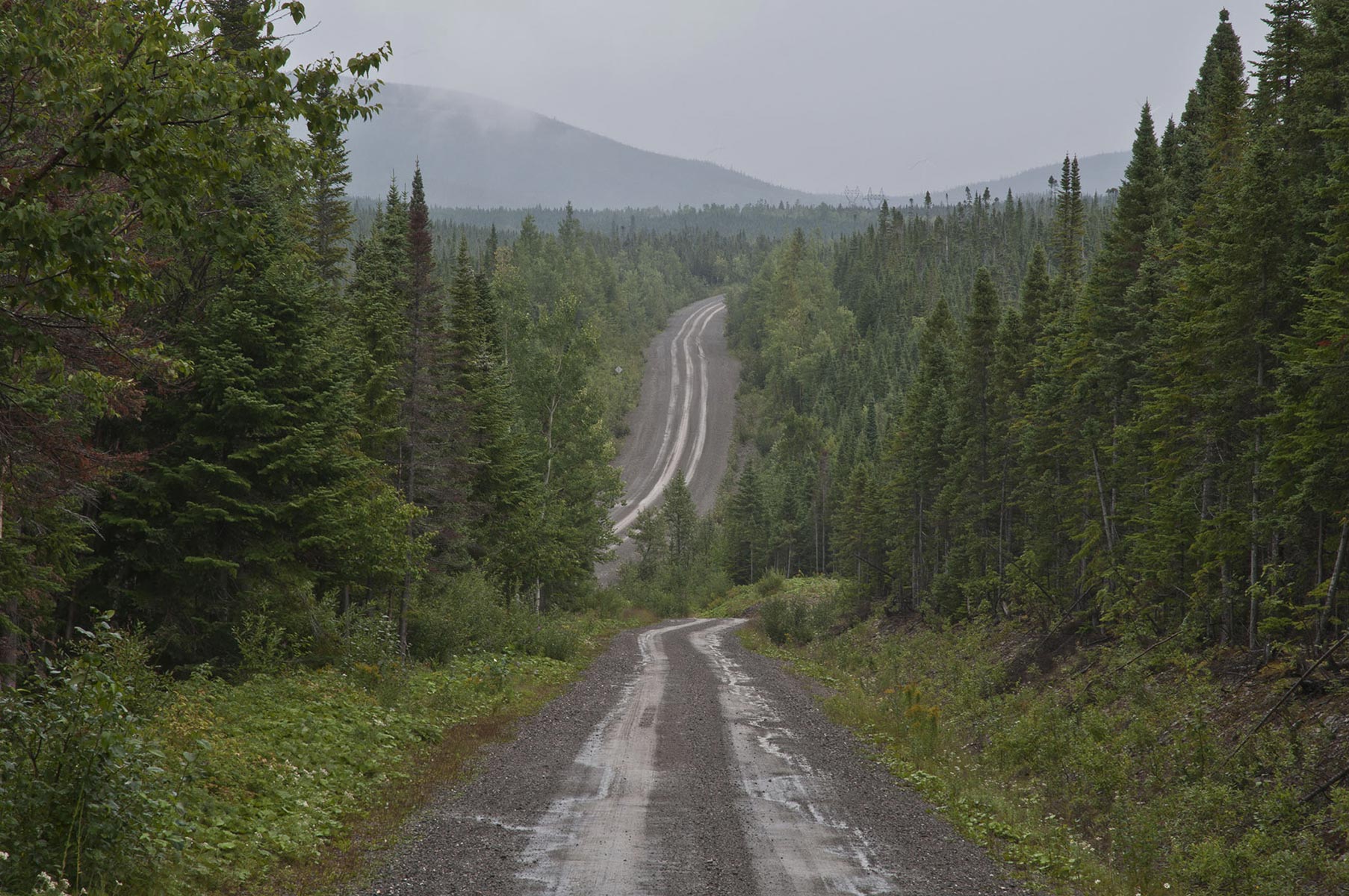 Murdochville, piste forestière - 2012