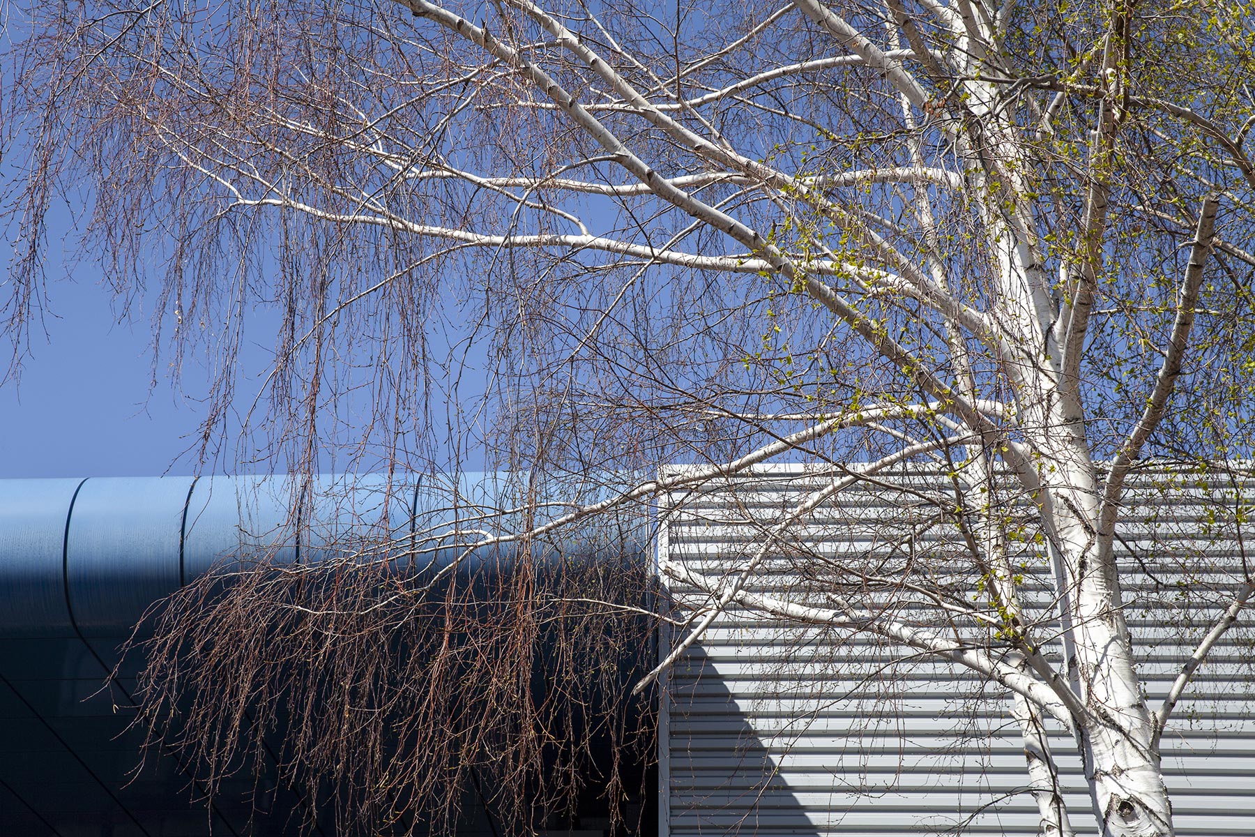 Rue Georges Besse - 2021