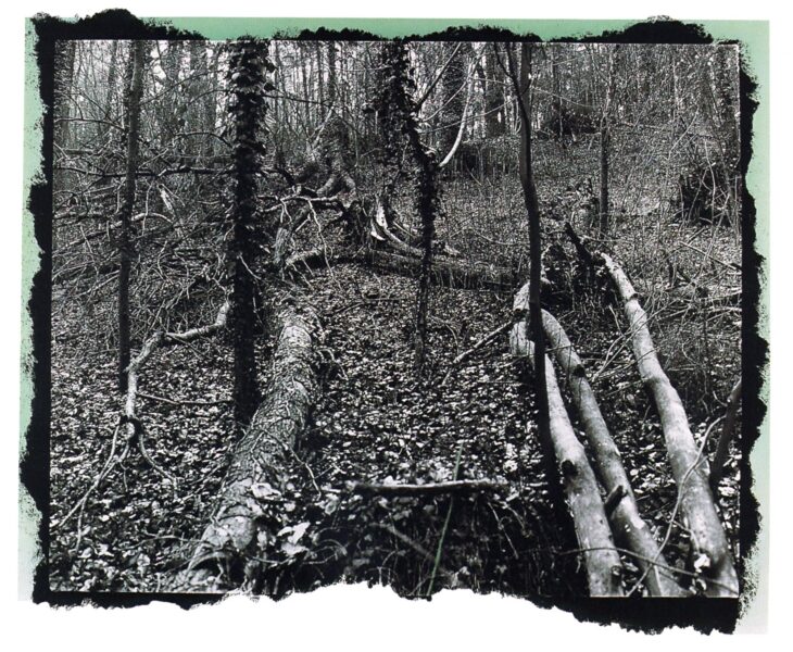 Vois-là - 1992