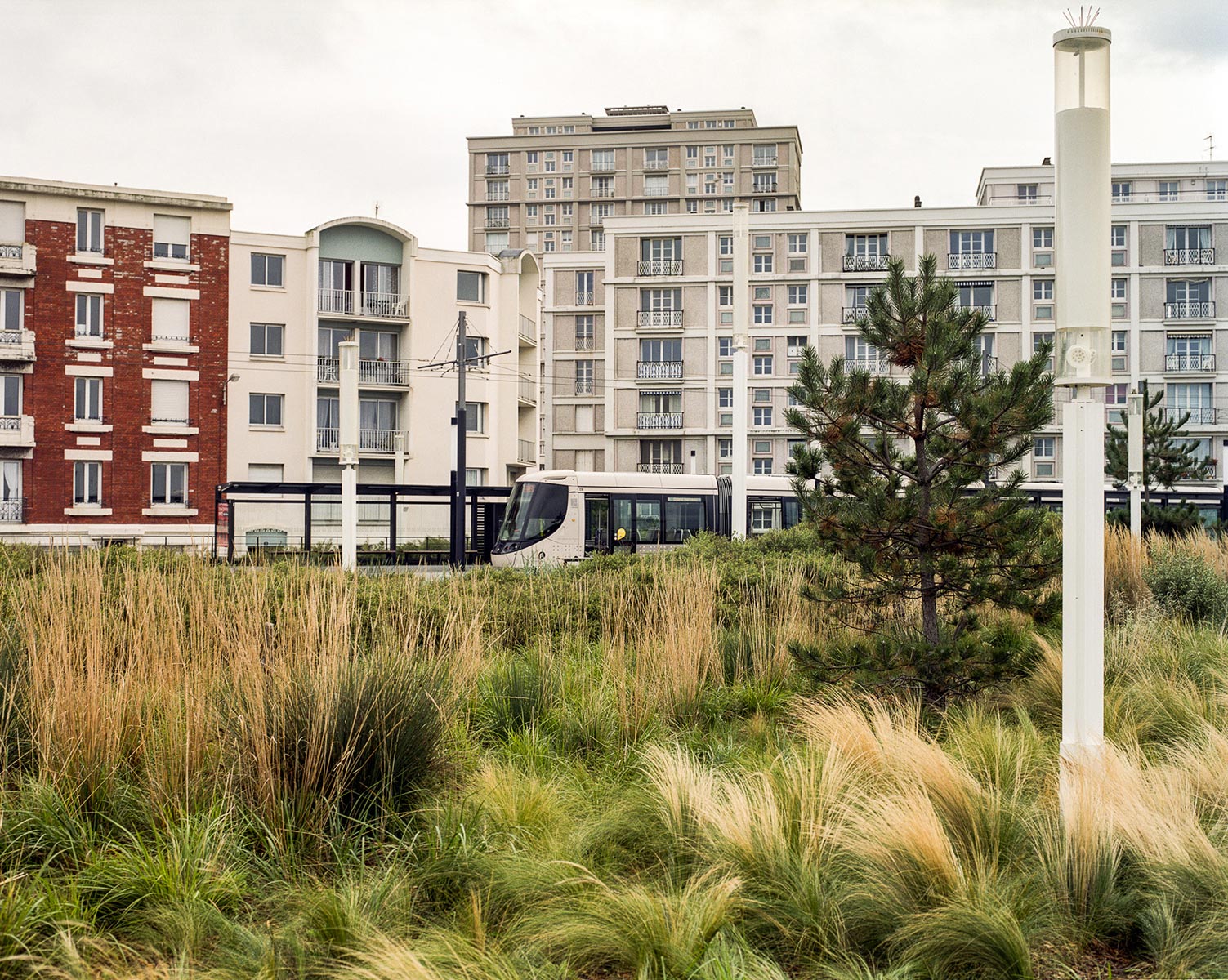 Franciscopolis - 2015