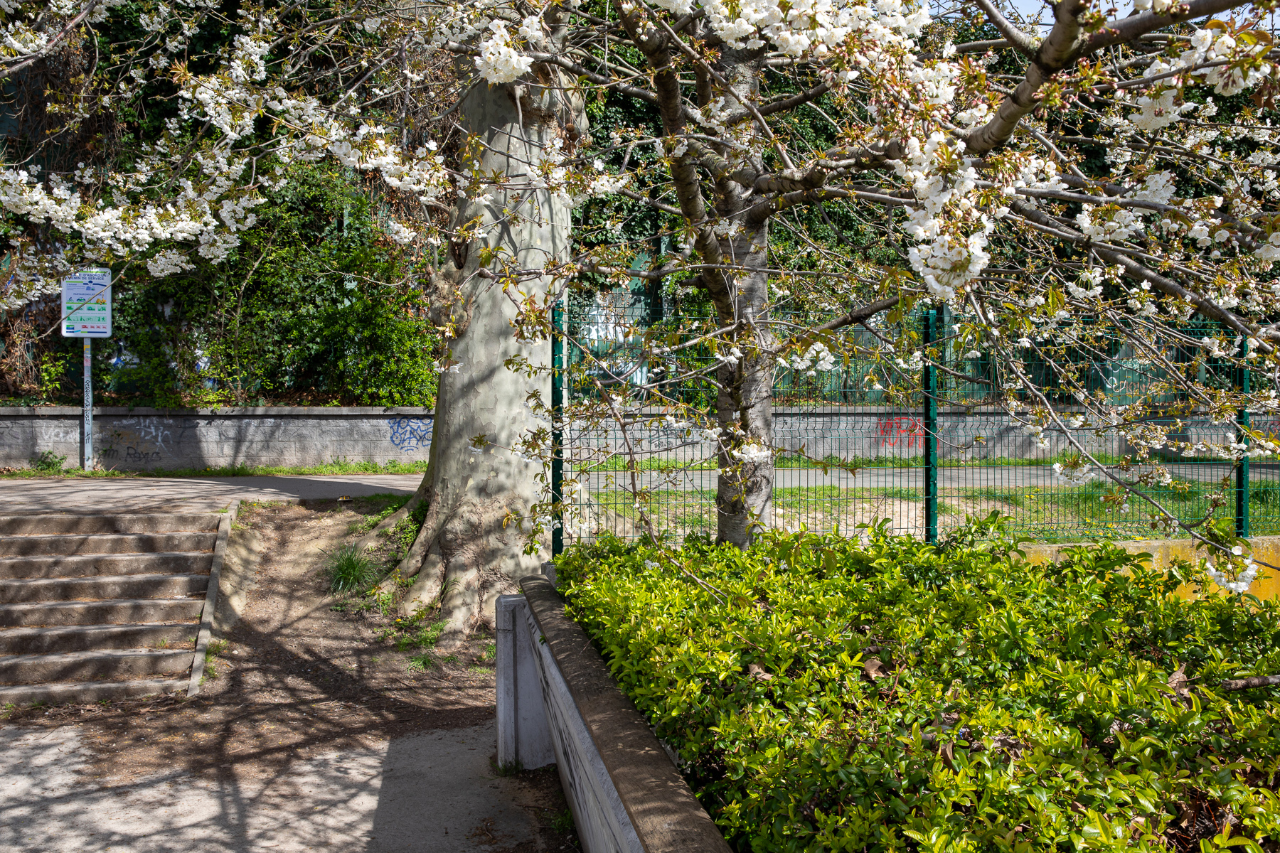Passerelle de Maisons-Alfort Écluse 18 - 25/03/2024