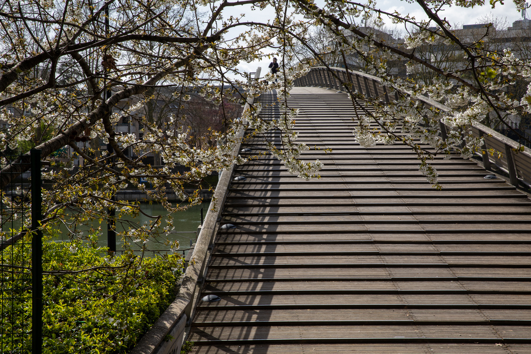 Passerelle de Maisons-Alfort Écluse - 18-25/03/2024