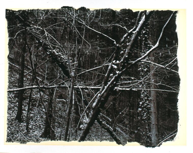 Vois-là - 1992