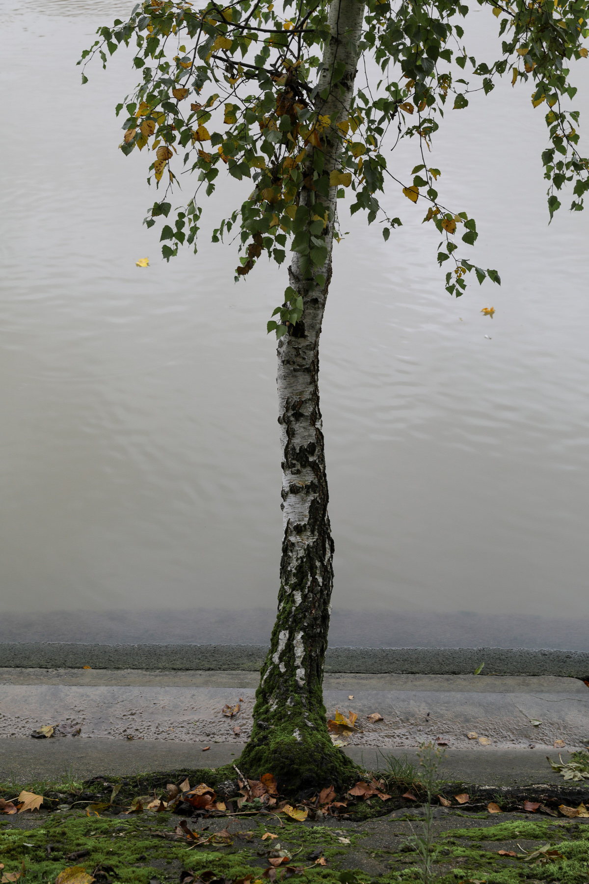 Île Charentonneau - 17/10/2024