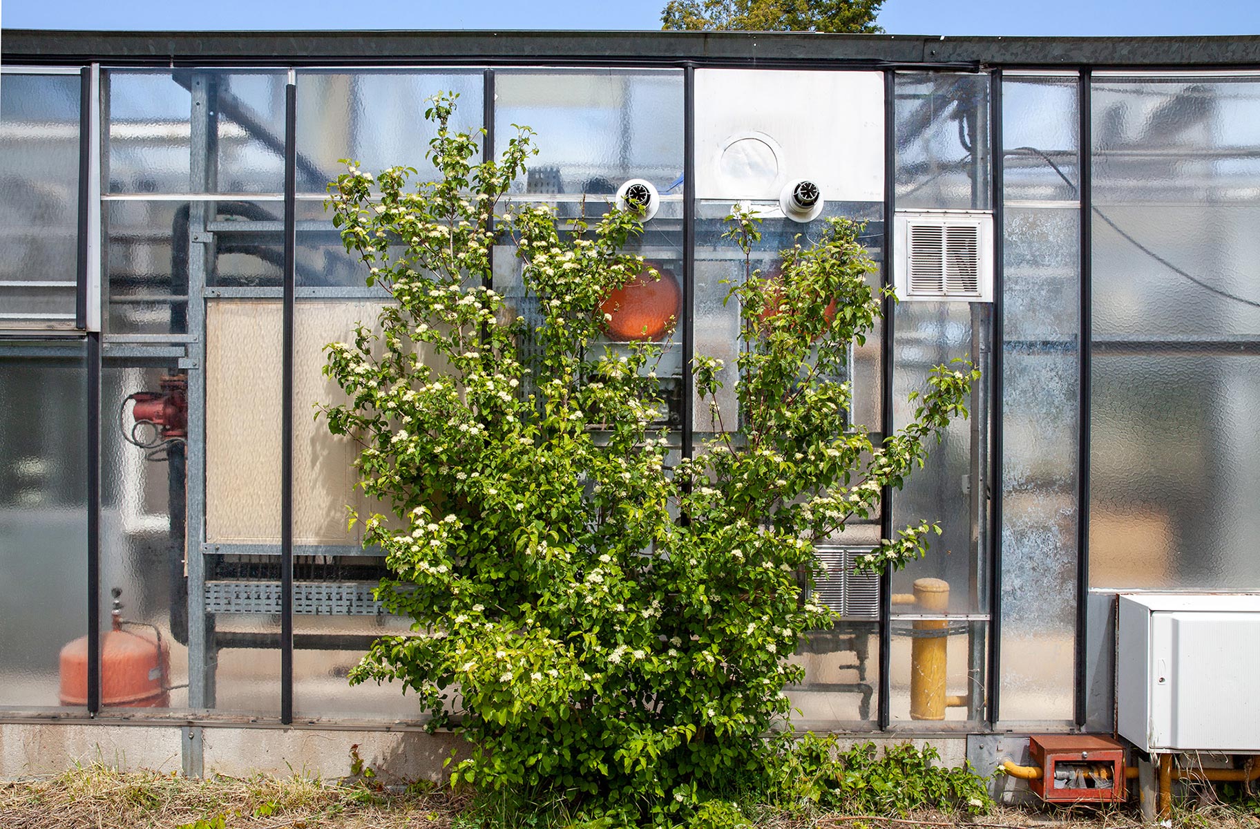 Proche rue Blaise Pascal - 2021