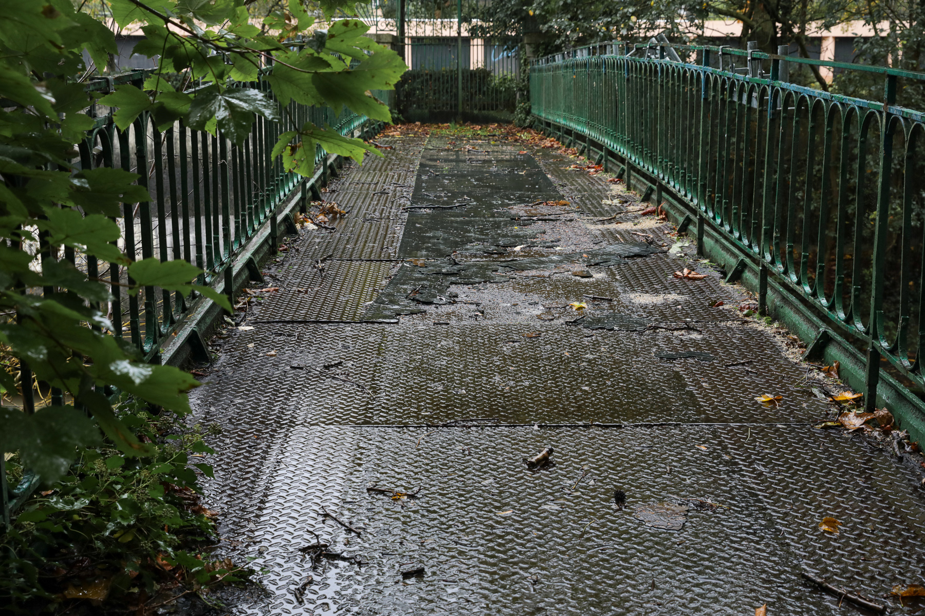 Île Charentonneau - 17/10/2024