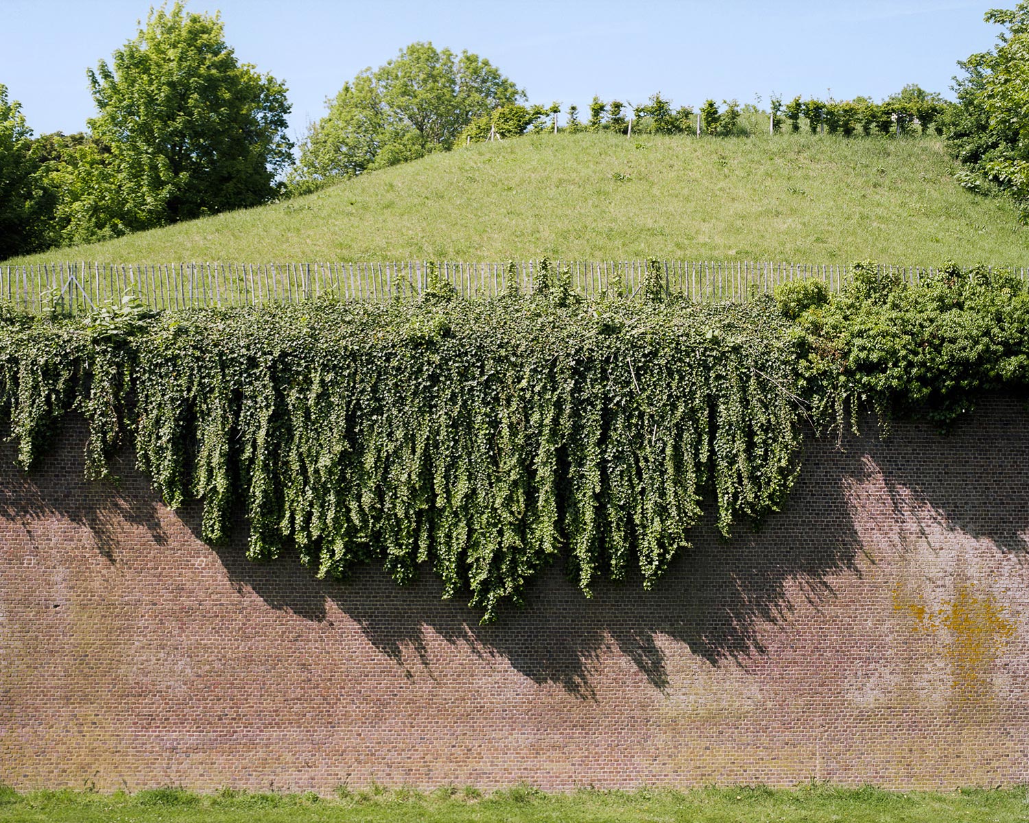 Franciscopolis - 2015