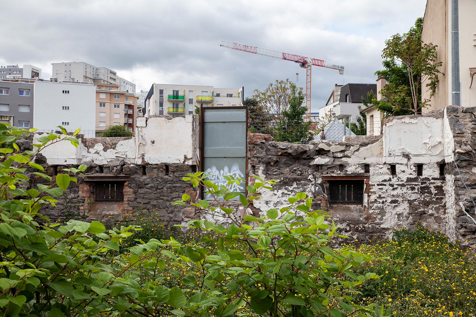 Friche rue Branly - 2021