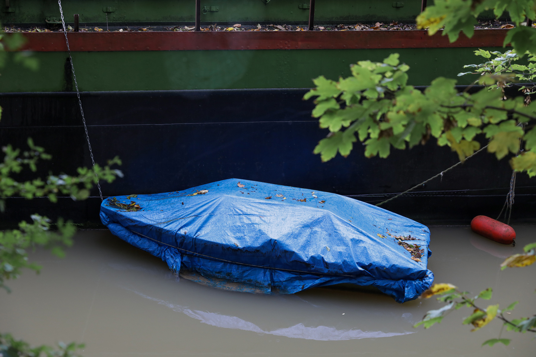Île Charentonneau - 17/10/2024