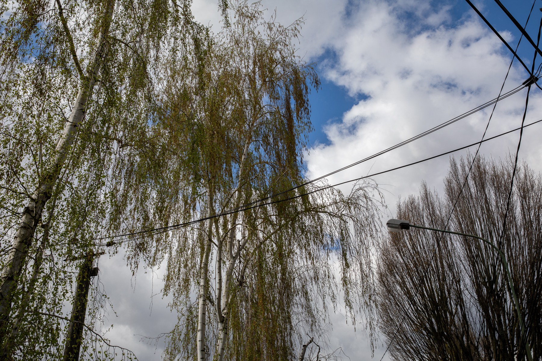 Île de Brise-Pain - 24/03/24