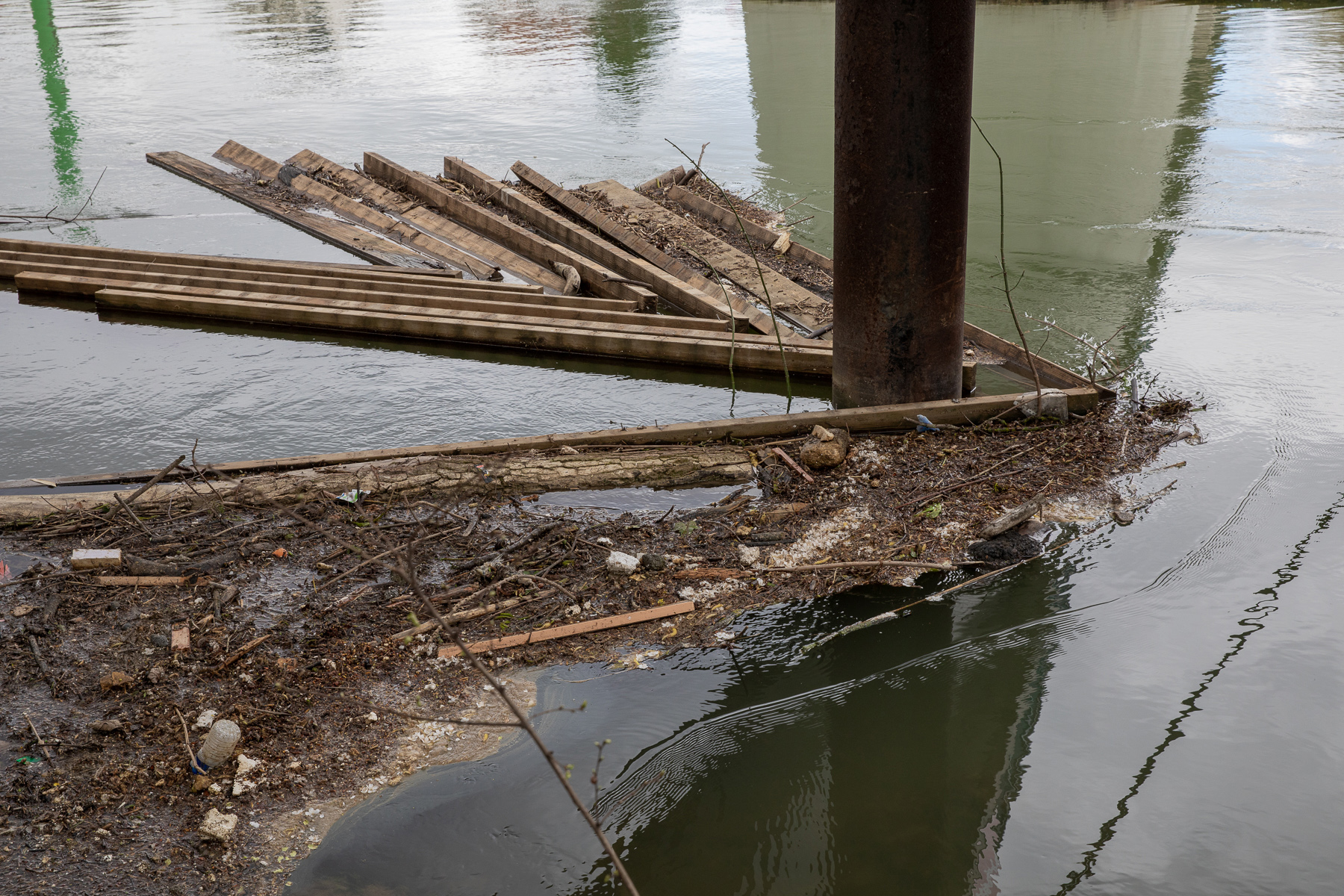 Île des Ravageurs, Passerelle de la Pie - 24/03/2024