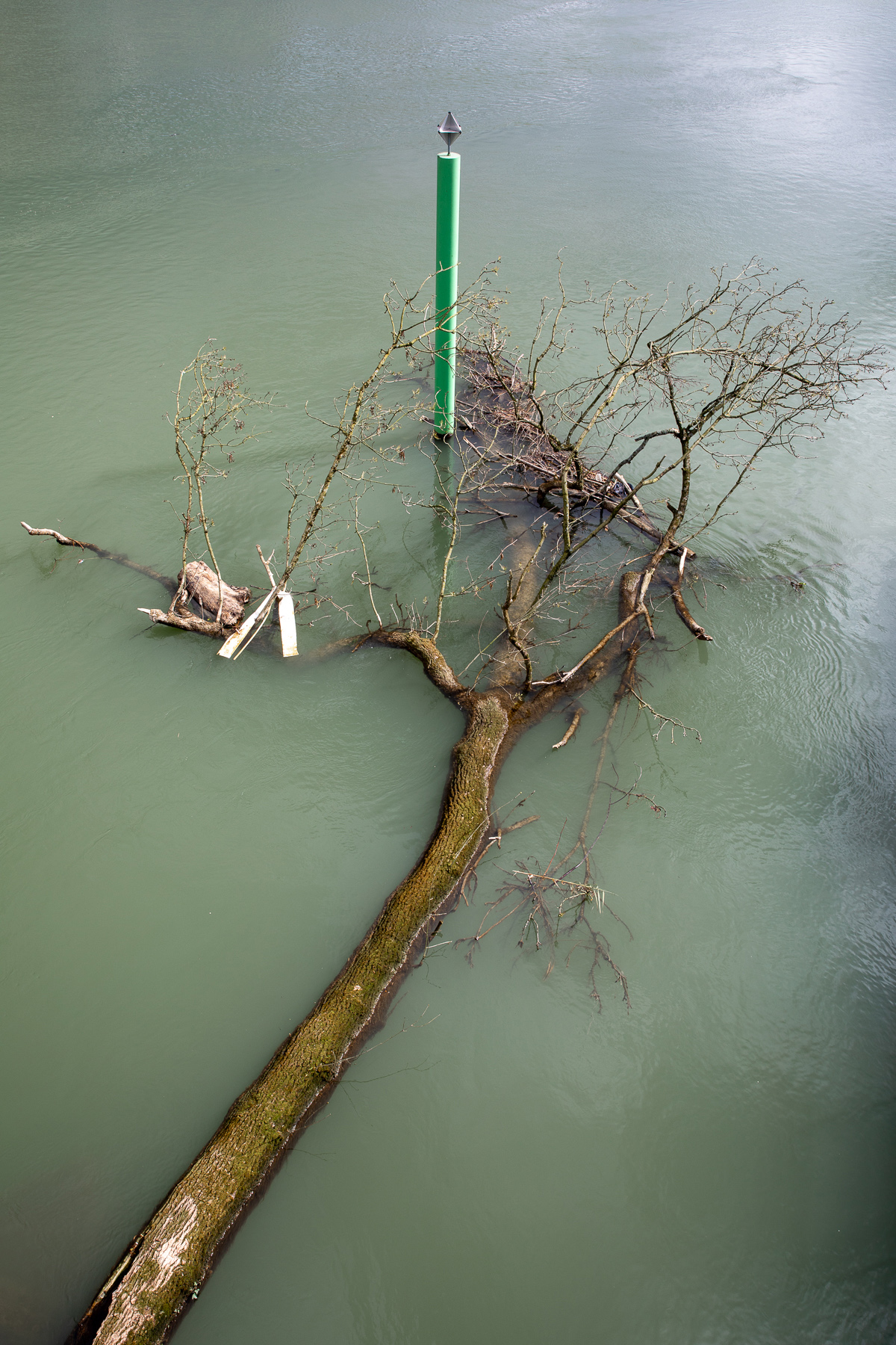 Île des Ravageurs Passerelle de la Pie - 24/03/2024