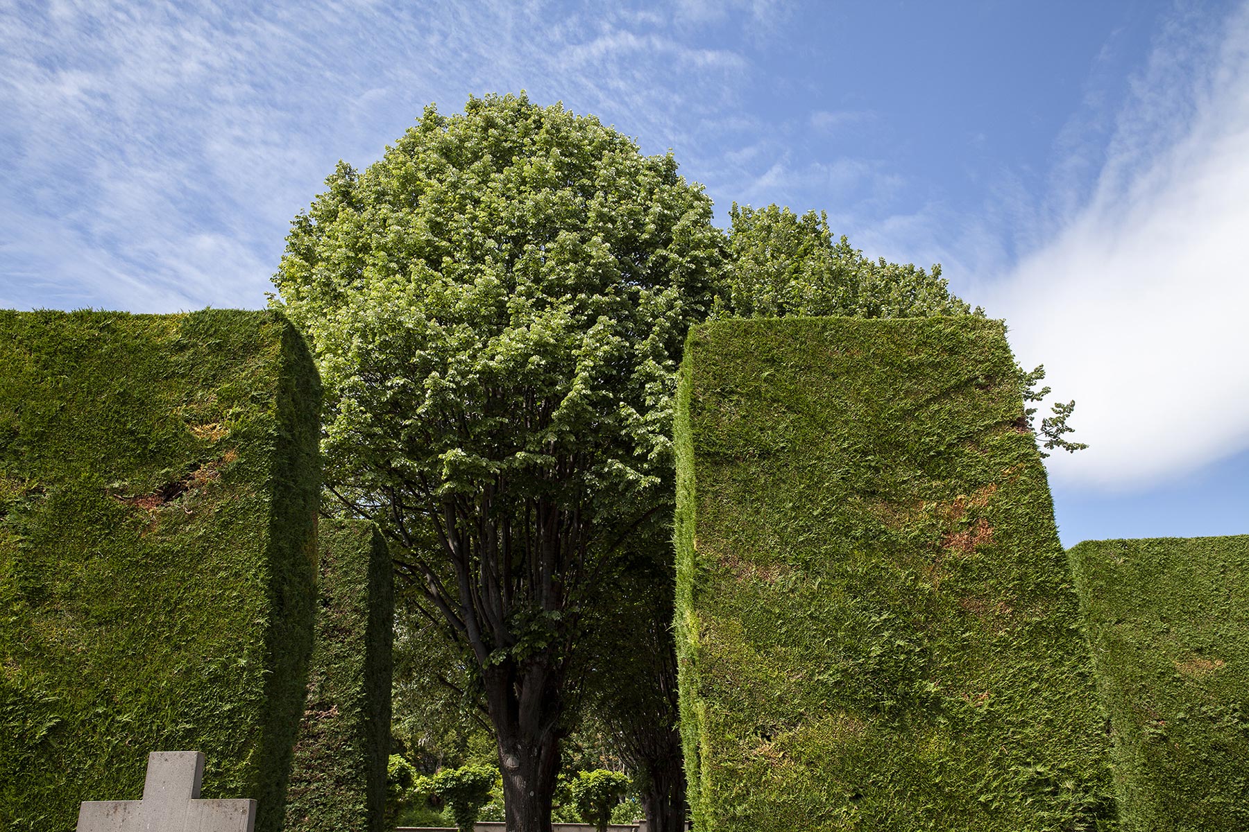 Cimetière St Jacques - 2021