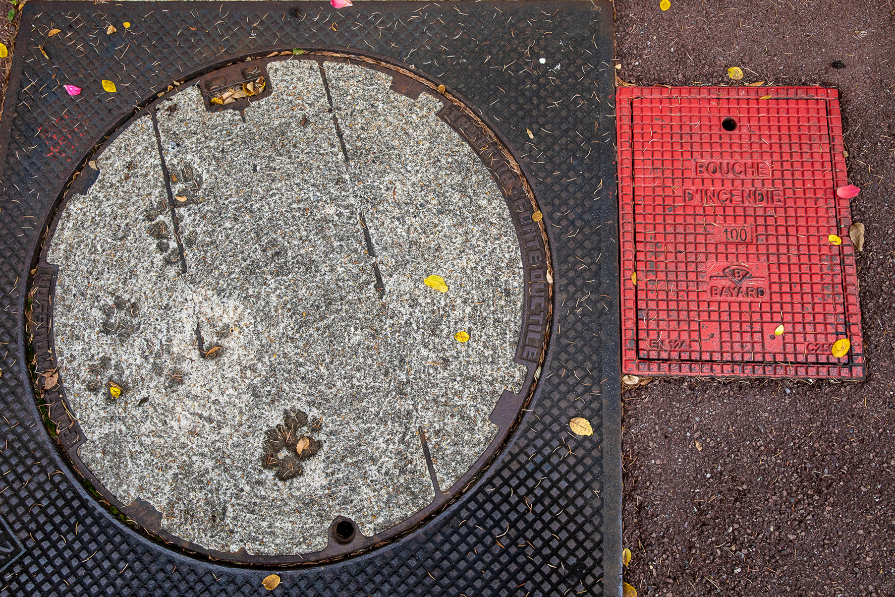 Créteil, Île Ste-Catherine Ave des Peupliers - 25/08/2023